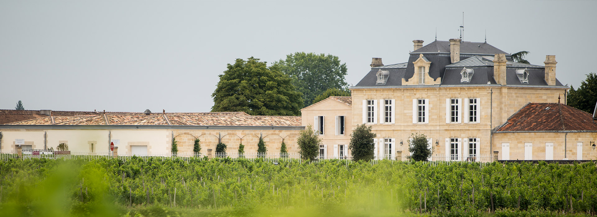 Château Nenin 